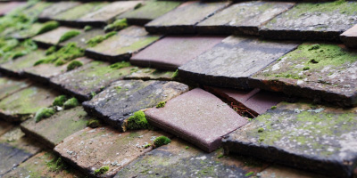Shenfield roof repair costs